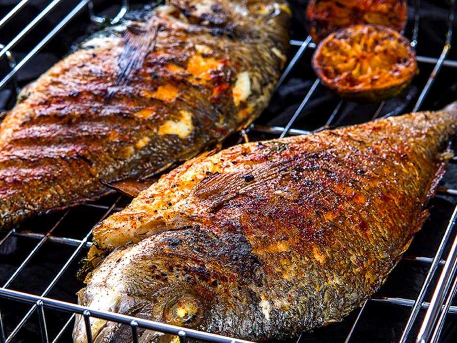 Рыба на костре - как приготовить на решетке и на шампуре, рецепты