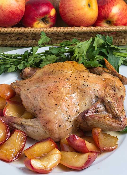 Цыплята-корнишоны в духовке – кулинарные рецепты. цыплята корнишоны - оригинальные рецепты вкусных и необычных блюд