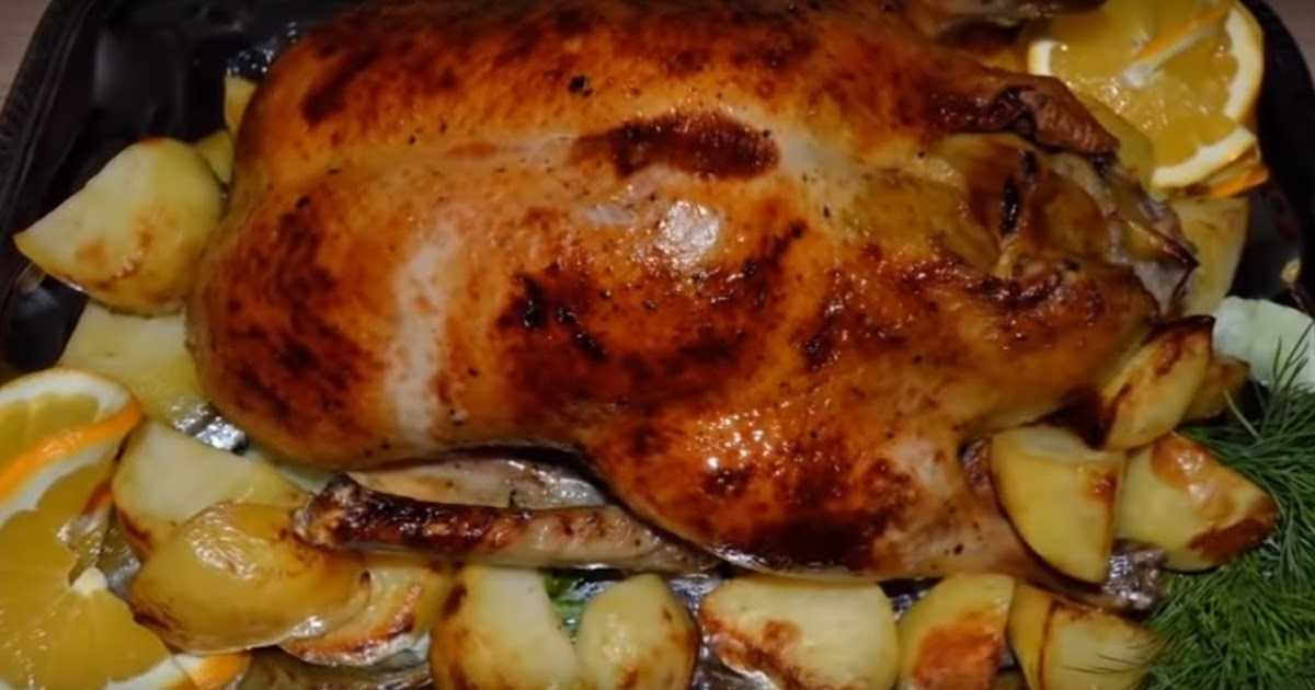 Утка в духовке с картошкой – 8 рецептов приготовления