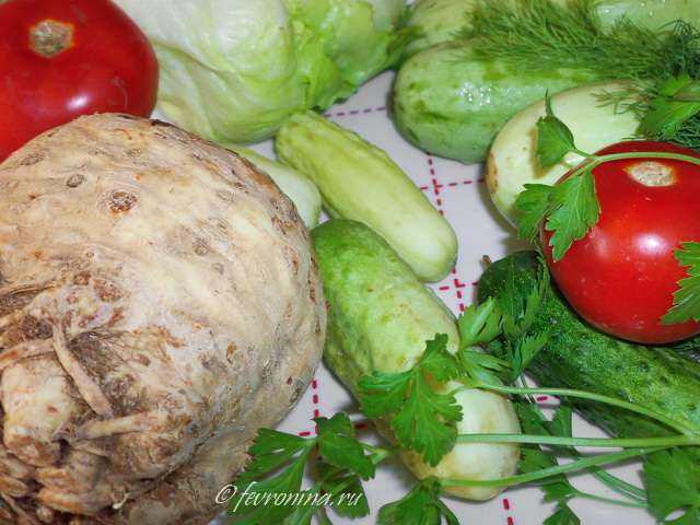 Сельдерей – как его едят: рецепты салатов и других блюд, полезные свойства для здоровья