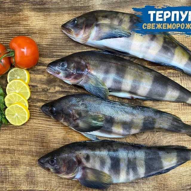 ✅ терпуг с овощами в духовке - v-recept.ru
