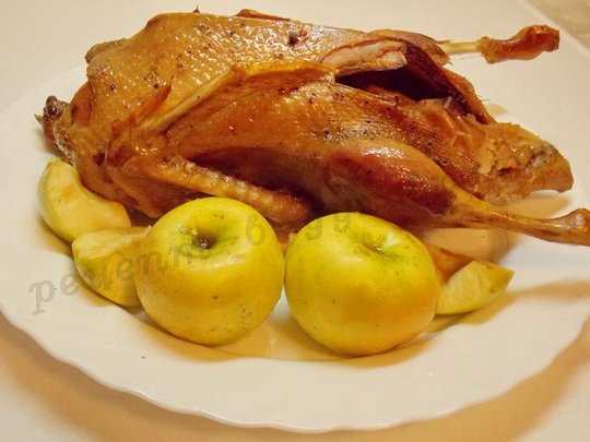 5 простых и вкусных рецептов утки с яблоками запеченной в духовке