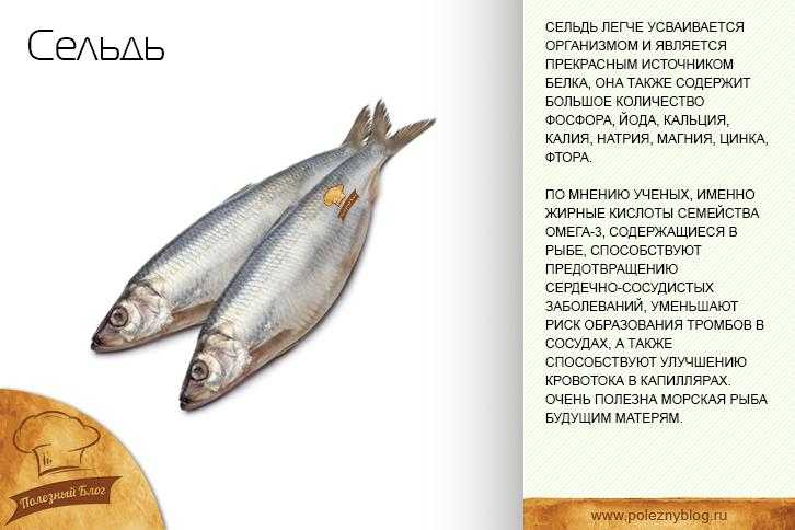 Необычная диетическая лиманная рыба: простота в приготовлении, польза в составе