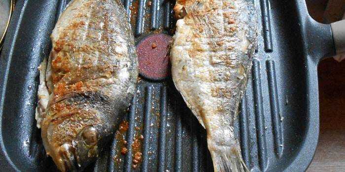 Рыба на гриле: 20 разных блюд