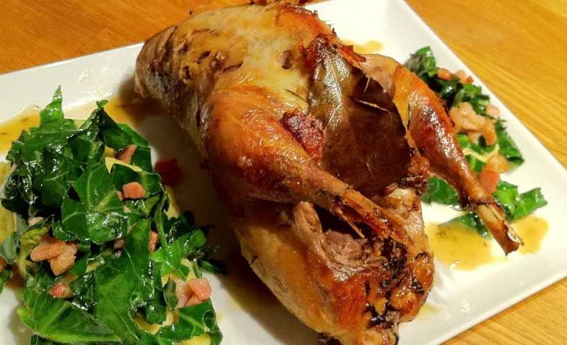 Как приготовить фазана в домашних условиях: рецепты, блюда