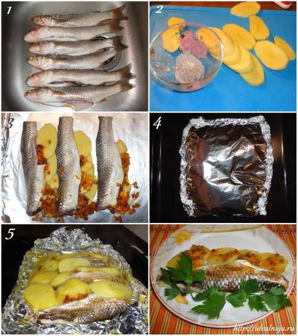 Пеленгас в духовке - 7 пошаговых рецептов приготовления с фото