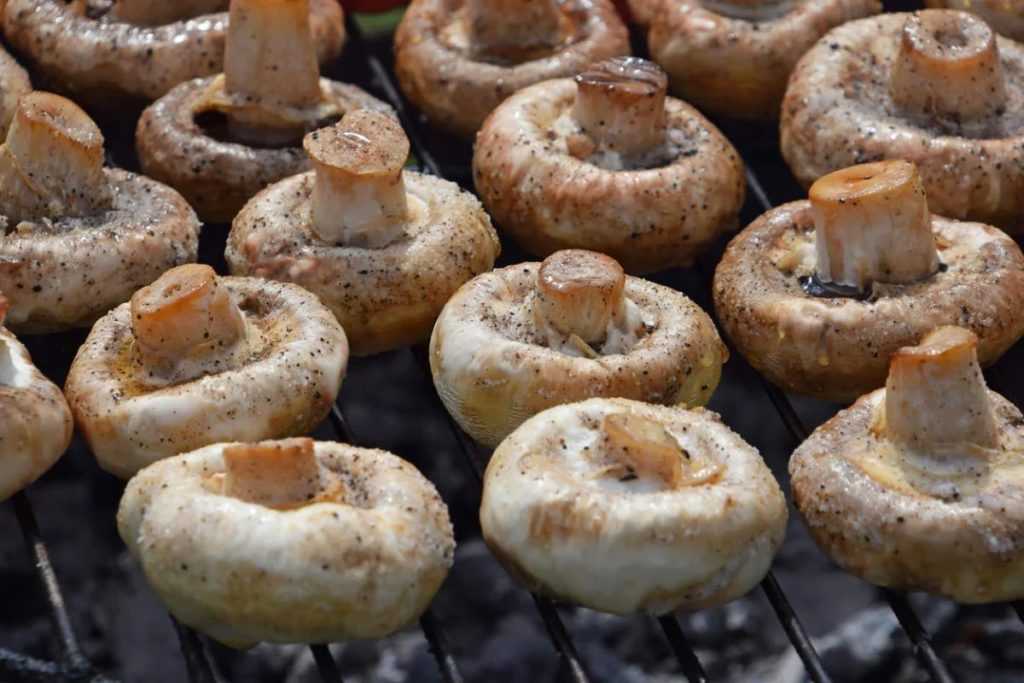 Шампиньоны на гриле: фото и рецепты приготовления грибов в духовке, микроволновке, на сковороде и мангале