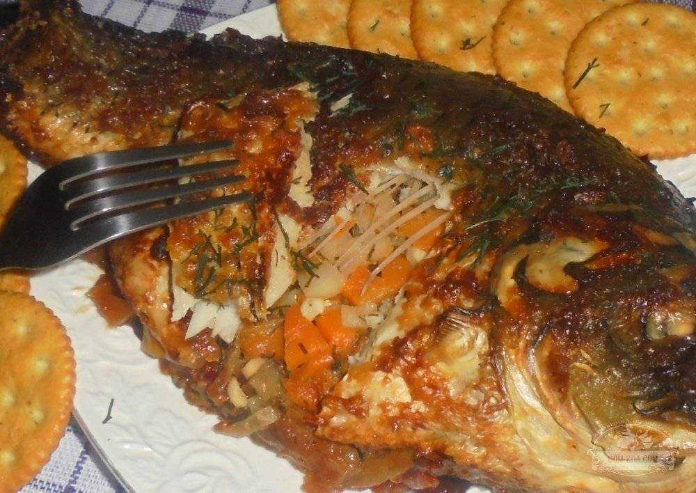 Рыба сазан - рецепты приготовления в духовке и на сковороде
