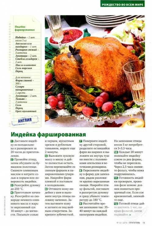 Гусь в духовке - 27 рецептов приготовления пошагово - 1000.menu