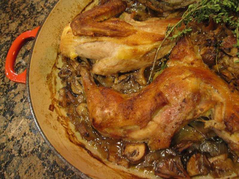 Как приготовить фазана в домашних условиях: рецепты, особенности и рекомендации :: syl.ru