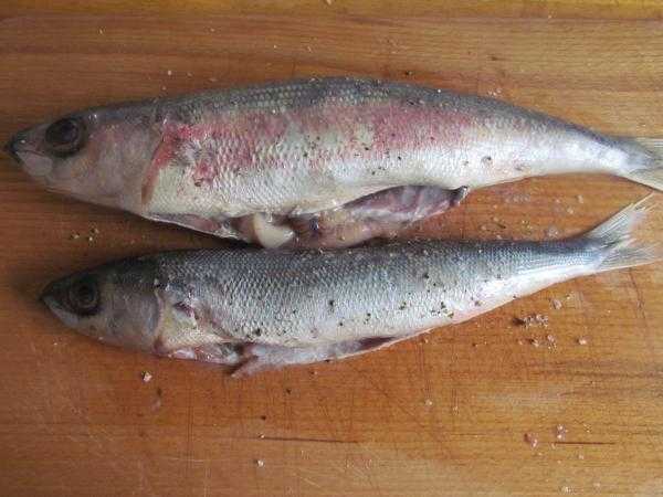 Красноглазка – что за рыба, как готовить? – 6 рецептов приготовления - rus-womens