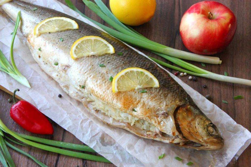 Ледяная рыба: рецепты приготовления. как вкусно приготовить ледяную рыбу