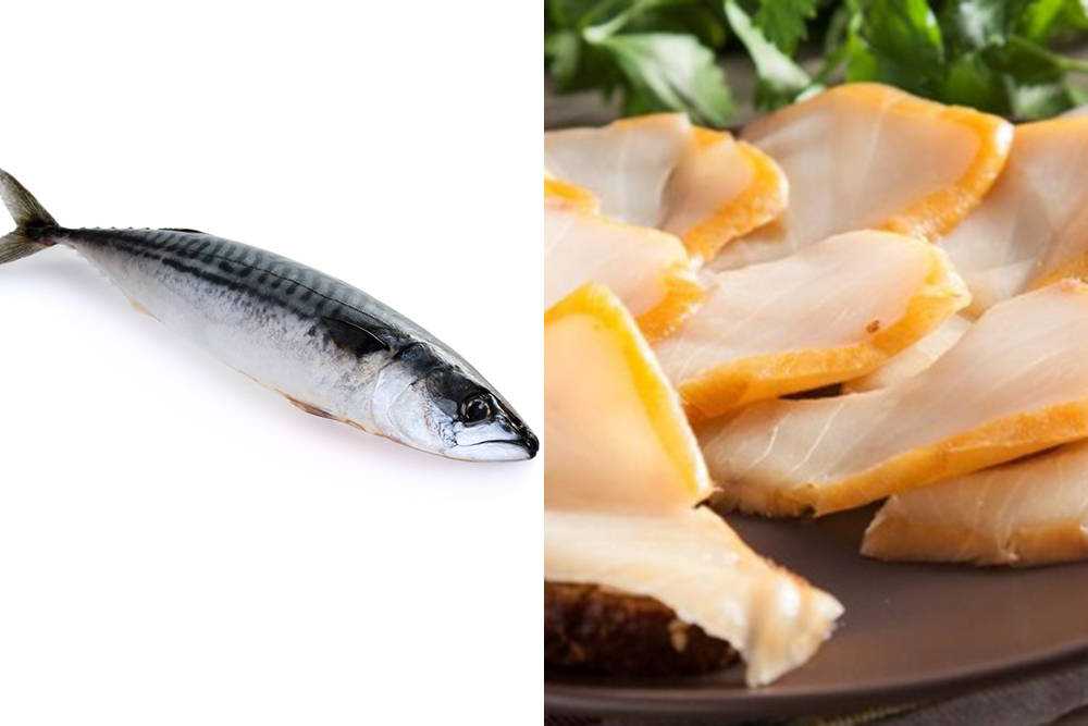 Масляная рыба: полезные свойства и калорийность, как приготовить эсколар