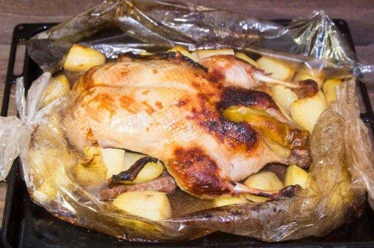 Утка с яблоками в духовке - 5 рецептов приготовления утки в домашних условиях