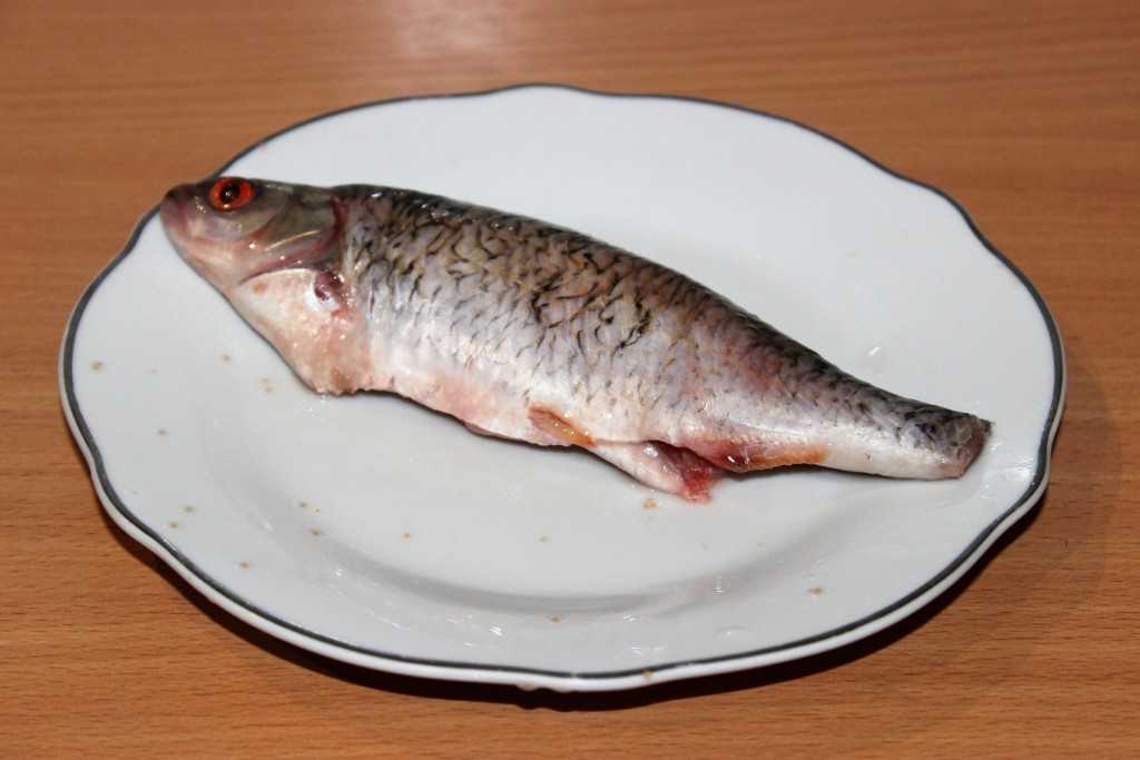 Рыба красноглазка – 11 самых простых и очень вкусных рецептов приготовления