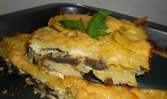 Картофельная запеканка с грибами и сыром - 144 рецепта: основные блюда | foodini