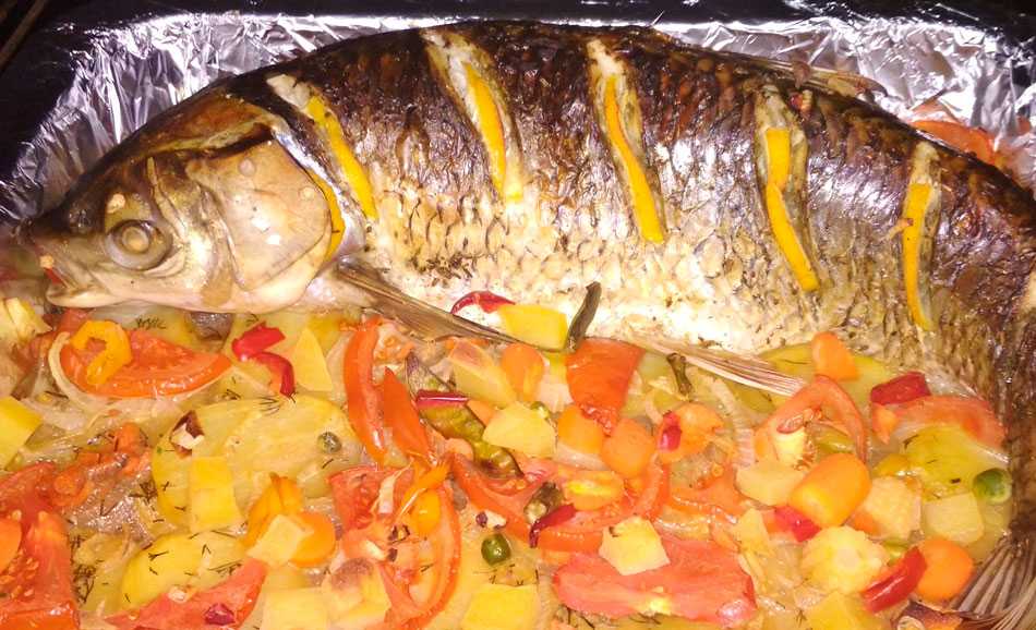 Рыба белый амур: рецепты приготовления, полезные свойства и особенности