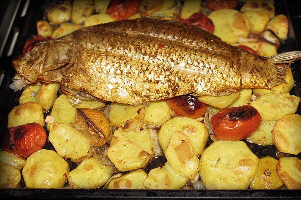 Карп в духовке - рецепты с фото. приготовление запеченной фаршированной рыбы