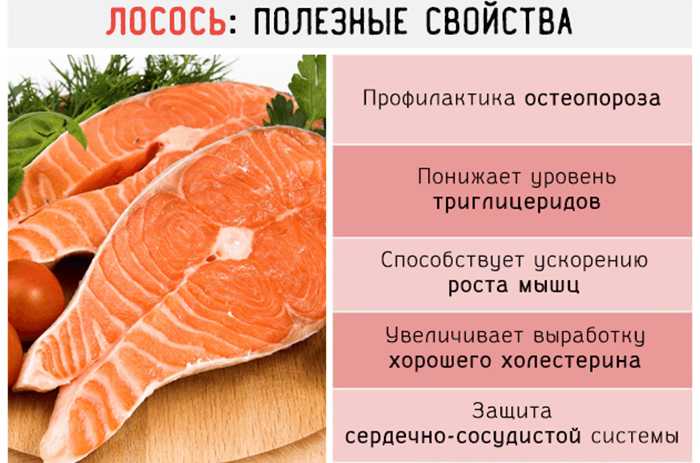 Масляная рыба: вредные и полезные свойства, как лучше употреблять