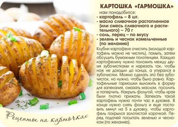 Картошка запеченная в сливках с мускатным орехом рецепт с фото пошагово - 1000.menu