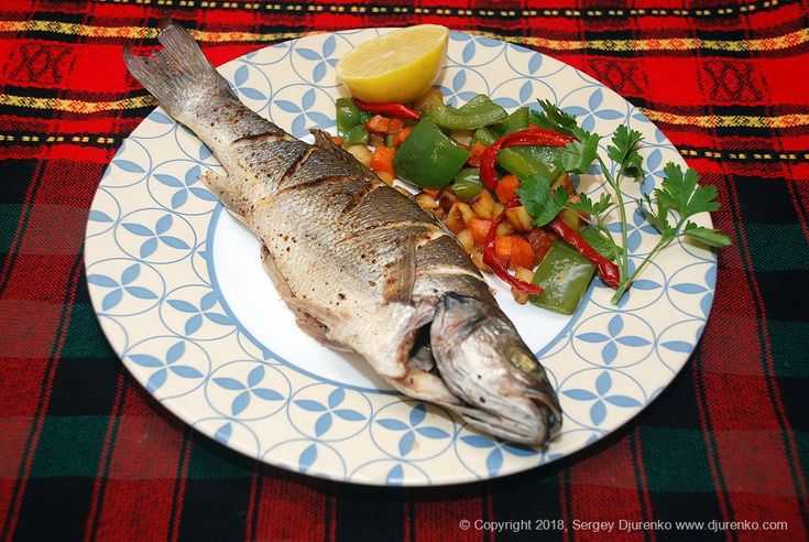 Сибас в духовке – 8 рецептов запеченной рыбы (с фото)