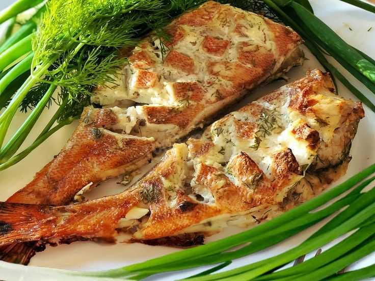 Лучшие рецепты с фото диетической рыбы в духовке
