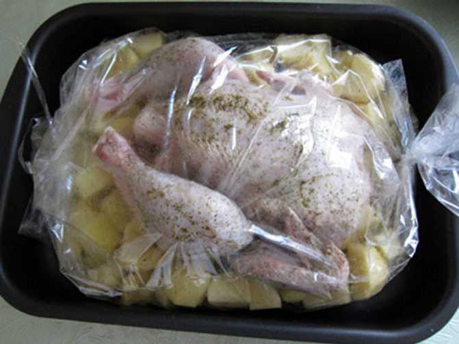 Курица целиком в сметане в духовке рецепт с фото пошагово и видео - 1000.menu