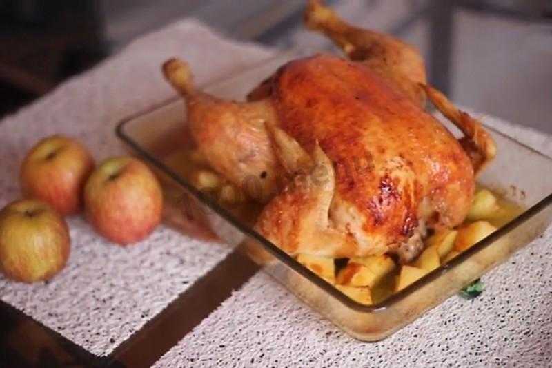 Целая курица с яблочками в духовке рецепт с фото пошагово - 1000.menu