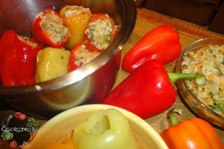 Перец, фаршированный овощами и рисом на зиму - 19 пошаговых фото в рецепте
