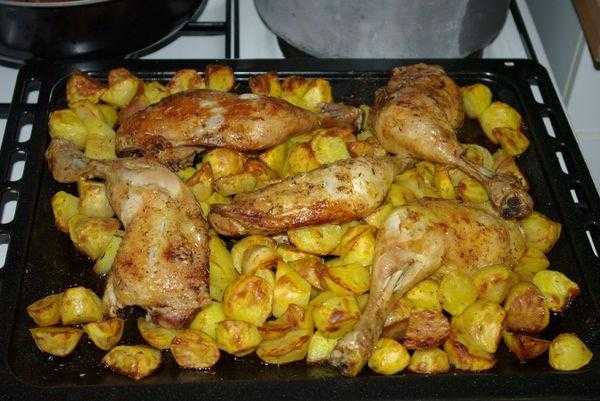 Рецепты окорочка куриные с картошкой