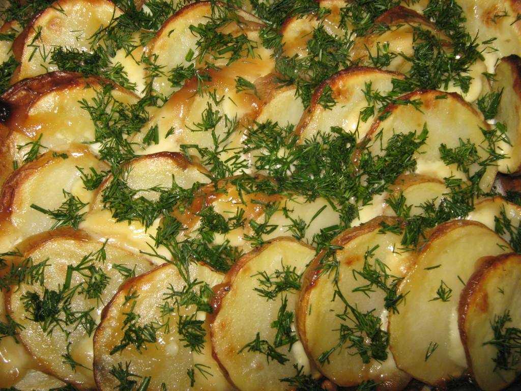 6 рецептов обалденно вкусного картофеля, запечённого в духовке