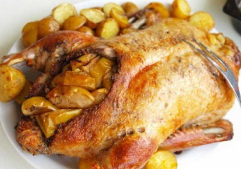 Утка в духовке с картошкой – 8 рецептов как вкусно приготовить