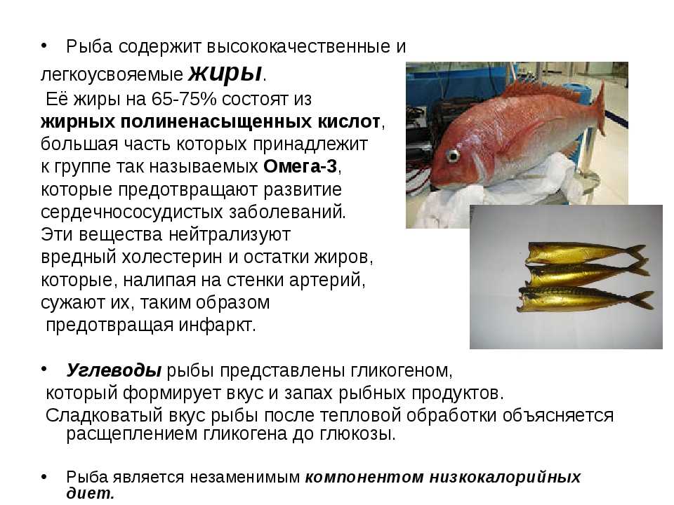 Рыба на гриле: 29 домашних вкусных рецептов