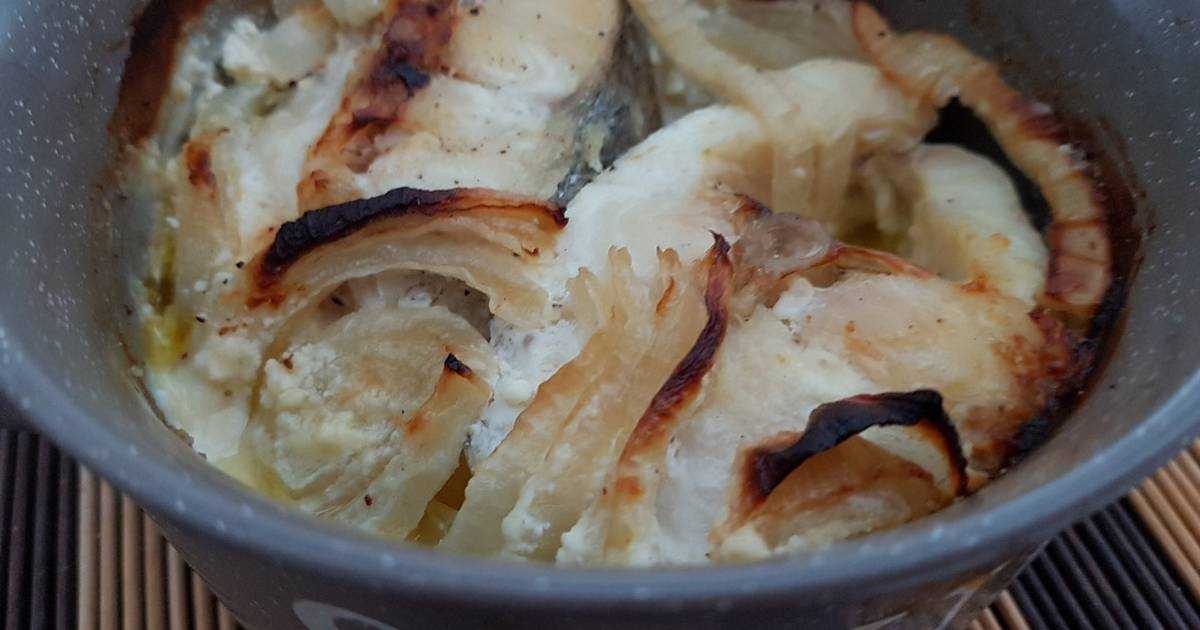 Щука в сметане – вкусная хищница! интересные рецепты щуки в сметане в духовке и на сковороде: фаршированной, с картошкой