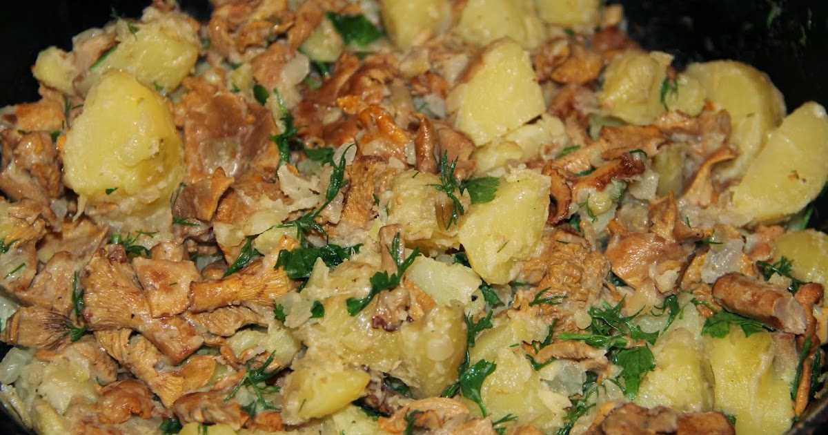 Как приготовить лисички, тушенные с картошкой в сметане в духовке — рецепт с фото