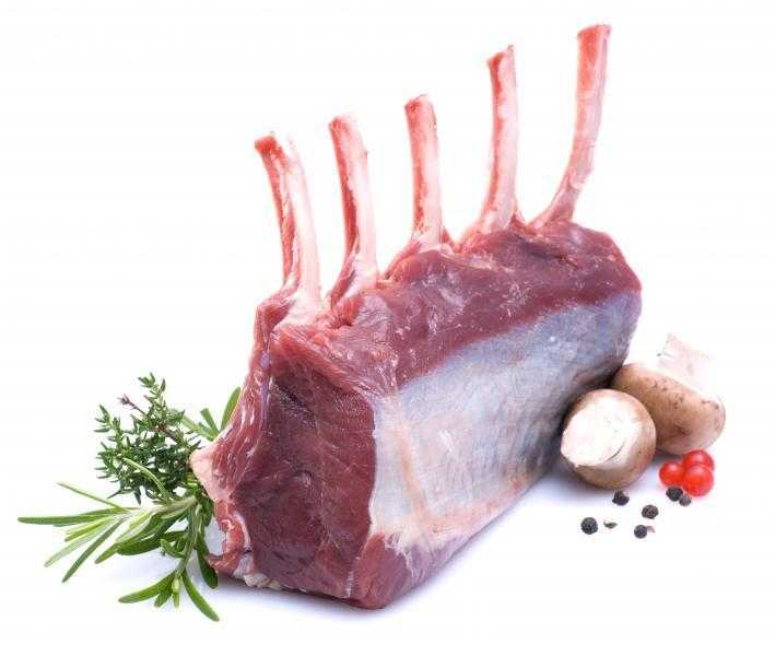 Мясо оленя: состав, польза и вред для организма человека