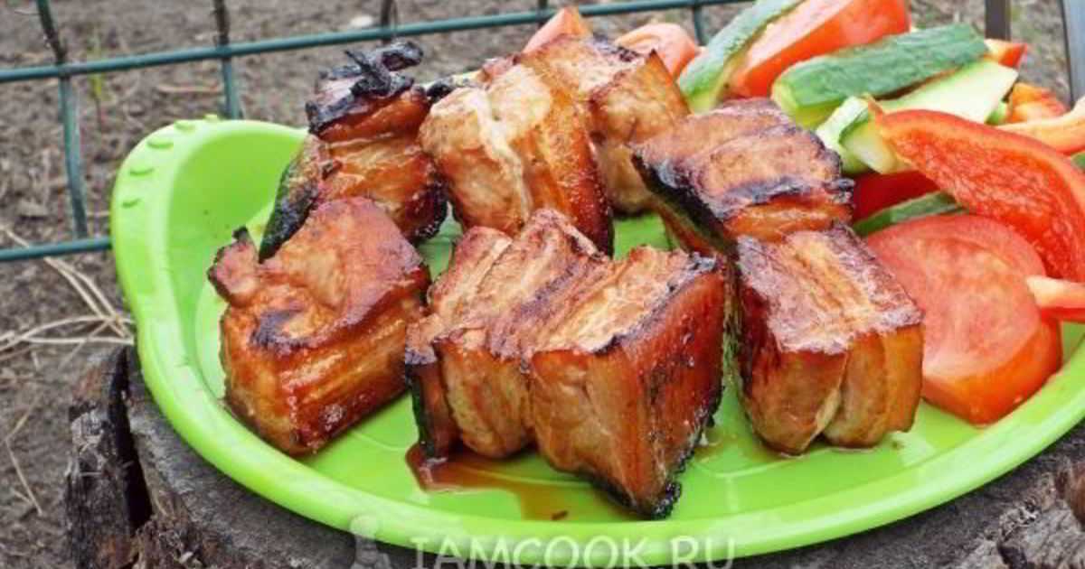 Свиные рёбрышки на мангале – 10 рецептов маринада (с фото)