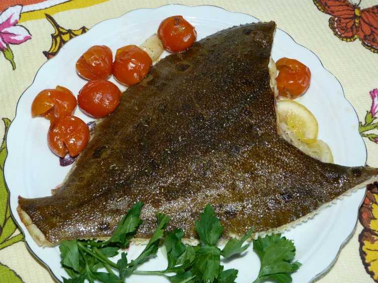 Камбала на мангале – как приготовить вкусное рыбное блюдо