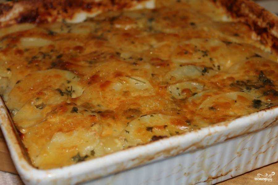 Картофельная запеканка с луком - 935 рецептов: запеканки | foodini