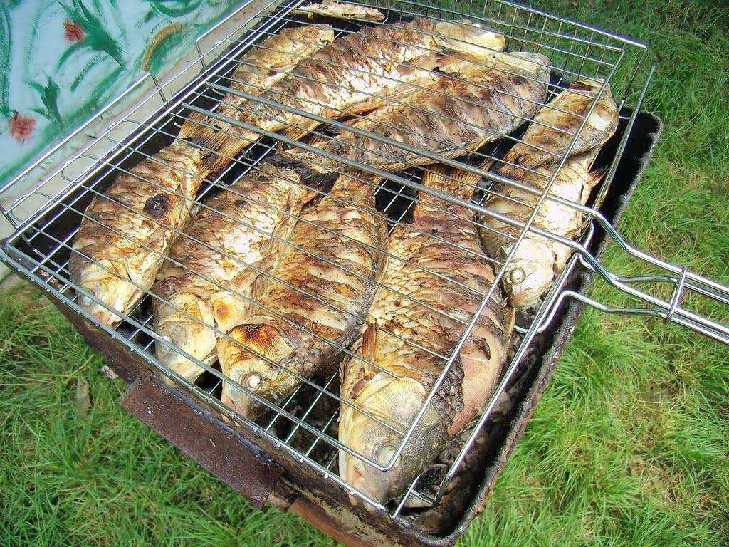 Карась на мангале на решетке: 5 рецептов жареной и запеченной рыбы