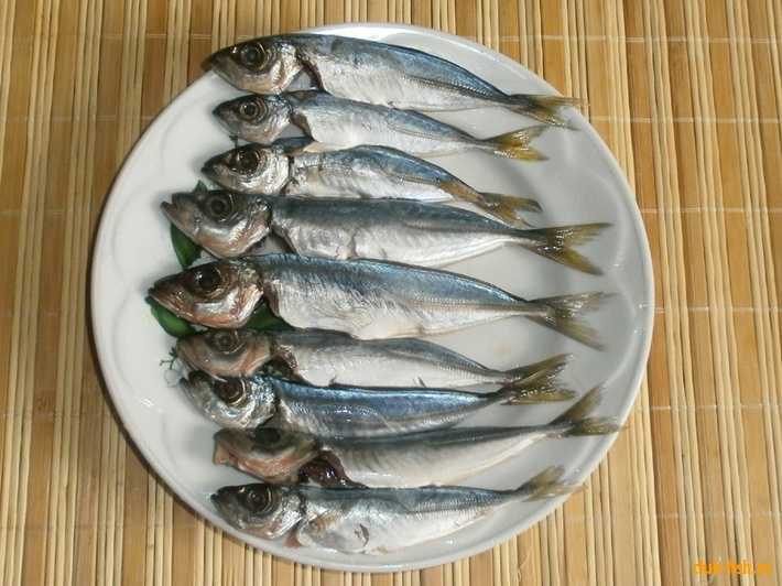 Ставрида — что это за рыба, чем полезна и как ее готовить?