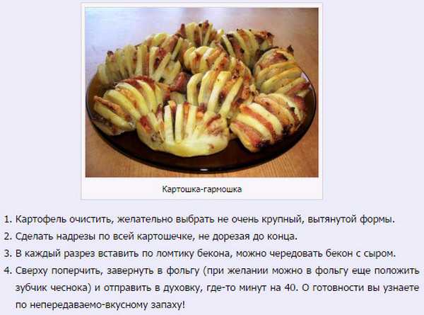 Картошка-гармошка в духовке — вкусные рецепты запекания