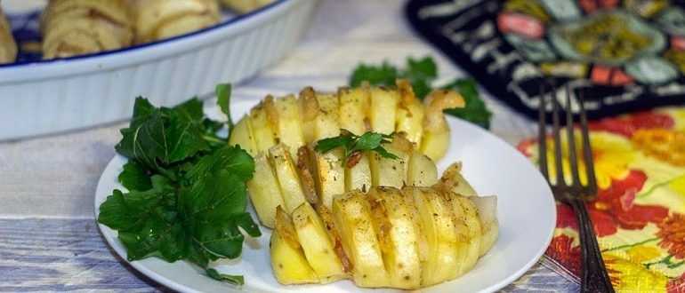 Картошка гармошка - лучшие рецепты приготовления картошки гармошки в духовке – вкуснодарка