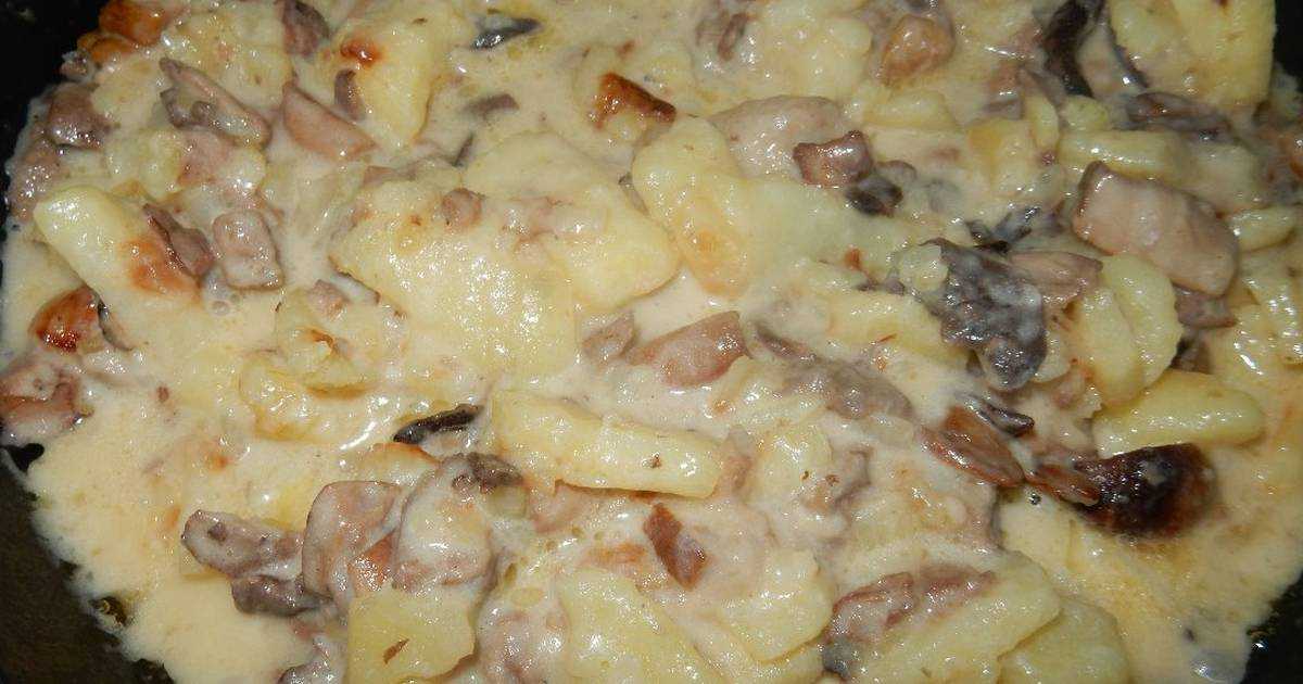 Жульен с курицей и грибами в духовке - 10 рецептов с фото пошагово: классический со сливками, картошкой, сметаной, сыром, на противне, в горшочках