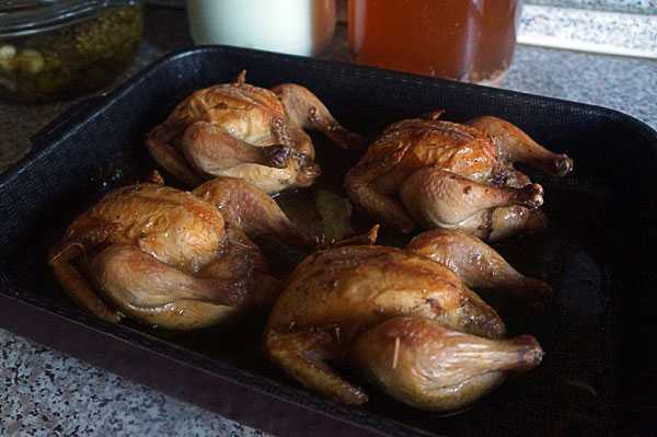 Самые вкусные рецепты приготовления цыплят-корнишонов в духовке