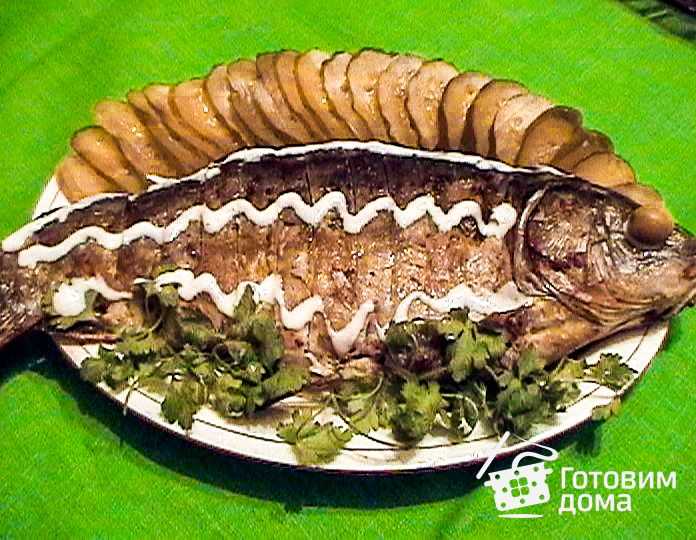 Фаршированная рыба. карп «по-праздничному» в подробных картинках.