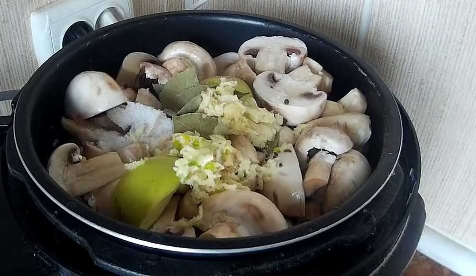 Картошка с грибами в мультиварке. картошка с грибами в мультиварке: простые рецепты сытных питательных блюд. способы приготовления картошки с грибами в мультиварке. рецепты картофеля с овощами, мясом, рыбой