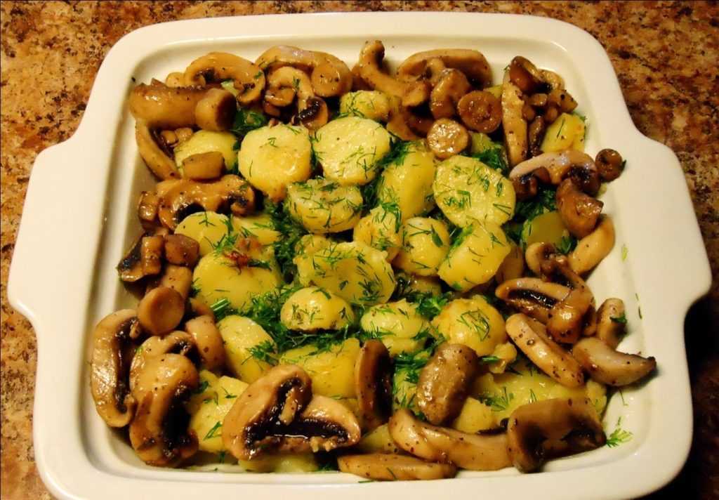 Картошка с грибами и сыром, запечённая в духовке: простые пошаговые рецепты с фото