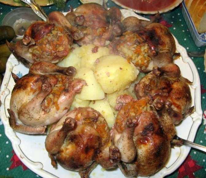 Корнишоны цыплята рецепт в духовке запеченные