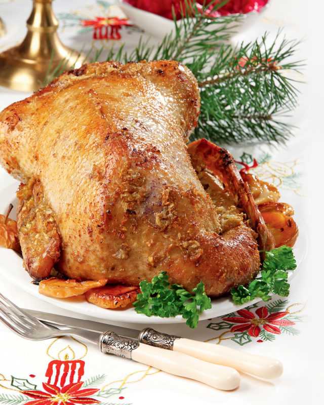 Рождественский гусь – главное блюдо сочельника! рецепты рождественского гуся с яблоками, апельсинами, картошкой, гречкой